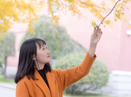 菲律宾结婚制度在中国有效果吗